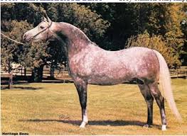 Heritage Labelle