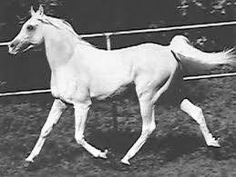 Hadban Enzahi