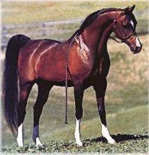Khemosabi