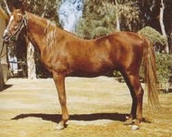 Sawlagan