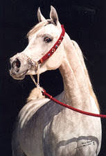 Al Wajba Al Rayyan