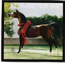 Fairview Klassique