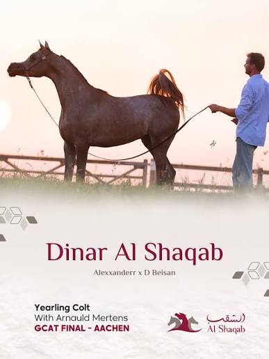 Dinar Al Shaqab