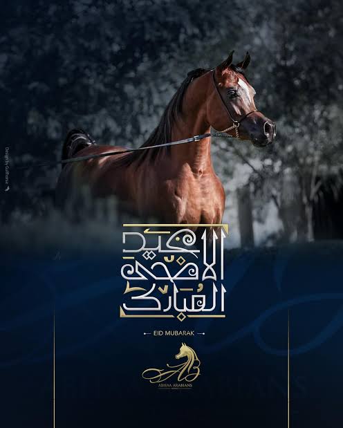AB Sudair