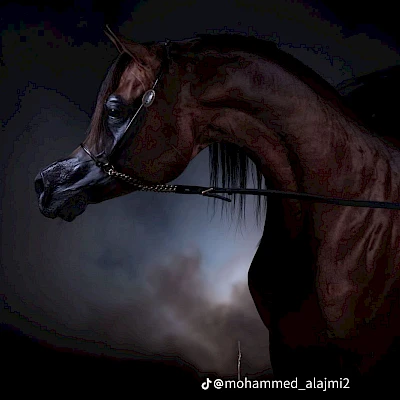 Baghdady Al Zobair